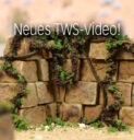 TWS Ranken Und Mauern