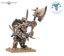 Games Workshop Verteidigen Oder Verderben – Die Reiche Der Waldelfen Und Tiermenschen Großherden Kämpfen Um Die Wälder Der Alten Welt 12