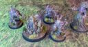 SF Shroudfall Sporebound Corruptors (Bloodthorne) 6