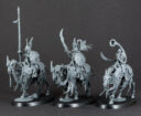 Unboxing Soulblight Gravelords 16