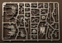 Unboxing Soulblight Gravelords 8
