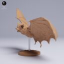 ADM Tiny Wonders 11