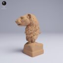 ADM Tiny Wonders 21