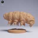 ADM Tiny Wonders 23