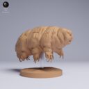 ADM Tiny Wonders 24