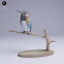 ADM Tiny Wonders 4
