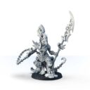 Legends Of Signum 2 Skarna, Lady Of Nightmares 1