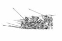 RD Scottish Pikemen 7