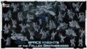 Space Knights Of The Fallen Brotherhood 3