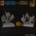 TF Highborne Elves And Undead Dominion 10