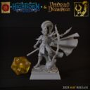 TF Highborne Elves And Undead Dominion 12