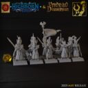TF Highborne Elves And Undead Dominion 14