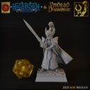 TF Highborne Elves And Undead Dominion 15