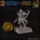 TF Highborne Elves And Undead Dominion 17