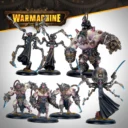Warmachine Hive Mind Cadre 1