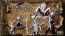 Warmonger Disciples Of The Weavers 1