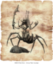 Warmonger Disciples Of The Weavers 21