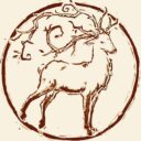 Spira Mirabilis: Mama Tortuga Ankündigung