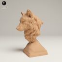 ADM Juni Patreon 37