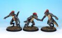 Crooked Troglodites Prev02