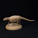 D&D Juni Patreon 30