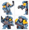 Games Workshop Blutwölfe 3