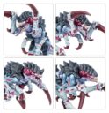 Games Workshop Kill Team Typhon 12
