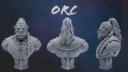 HEROS OF THE VERIDIAN SPIRE STL BUST 7