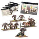 Mantic Kings Of War Champions Arokamorra Company Box 2