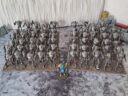 Sandor 5