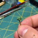 Scibor Prev02