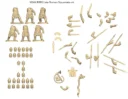 Wargames Atlantic Late Roman Legionaires 4