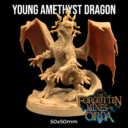 Dragontrappersjune5