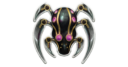 Wm Cephalyx 04