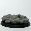 Crooked Dice Neuheiten Gelände Schlangen 5