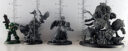 GW SW Scale 01