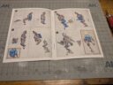 Games Workshop Warhammer Age Of Sigmar Kharadron Overlords Null Khemist 7