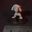 Ramshackle Games Foxbox Goblins (13)