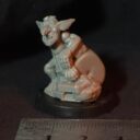 Ramshackle Games Foxbox Goblins (24)