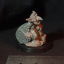 Ramshackle Games Foxbox Goblins (25)