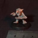 Ramshackle Games Foxbox Goblins (8)