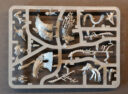 Unboxing Idoneth 14
