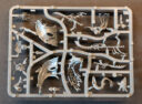 Unboxing Idoneth 15