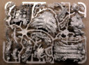 Unboxing Idoneth 23