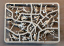 Unboxing Idoneth 5