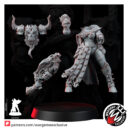 Wargame Exclusive Sisters In Heresy Pleasure Squad T2 12
