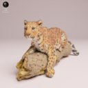 Animaldenjul1
