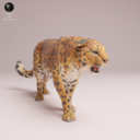 Animaldenjul10