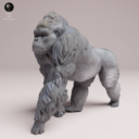 Animaldenjul12