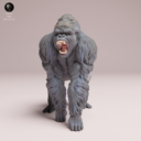 Animaldenjul14
